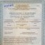 Свидетельство о регистрации 0